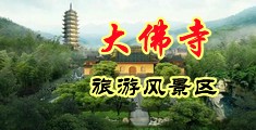 大鸡巴操日本空姐中国浙江-新昌大佛寺旅游风景区